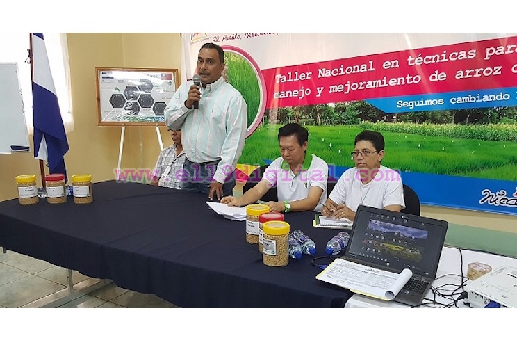 T&eacute;cnicos del Inta aprenden nuevas t&eacute;cnicas para el manejo y mejoramiento de la semilla en arroz secano